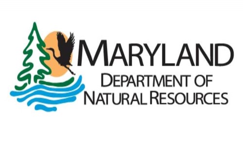 Maryland DNR on X: 